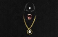 Nems- Bing bong remix ft Busta Rhymes , Styles P , Fat Joe