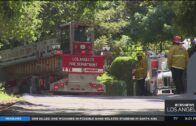 Tree trimmer killed on the job; Found hanging upside down nearly 50 feet above ground